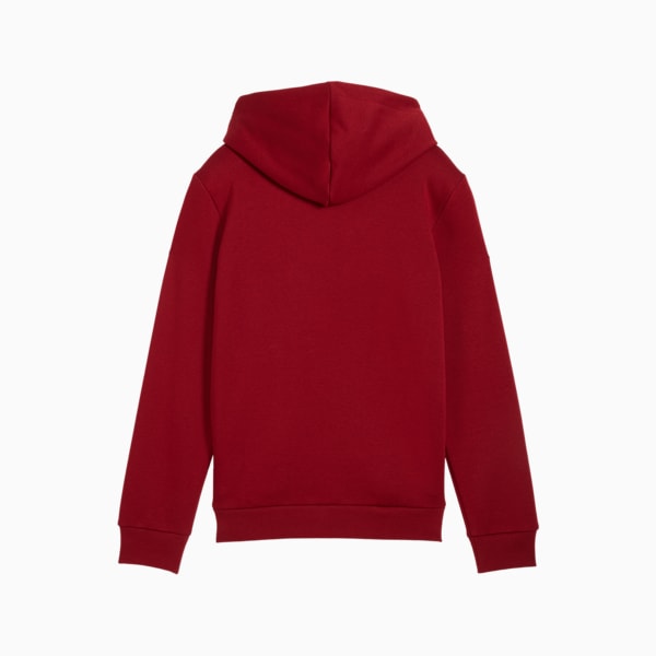 Essentials+ Two-Tone Big Logo Hoodie Big Kids, Intense Red, extralarge