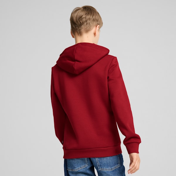 Essentials+ Two-Tone Big Logo Hoodie Big Kids, Intense Red, extralarge