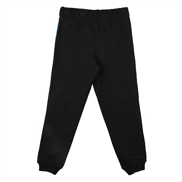 puma tfs og track pants