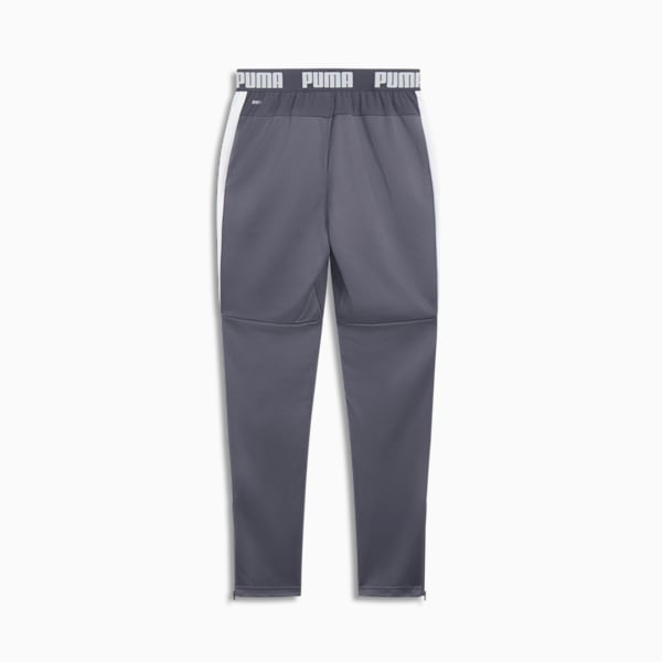 Speed Men's Pants, Galactic Gray-PUMA White, extralarge