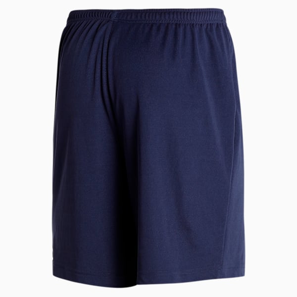 Cricket Men's Regular Fit Training Shorts, Peacoat, extralarge-IND