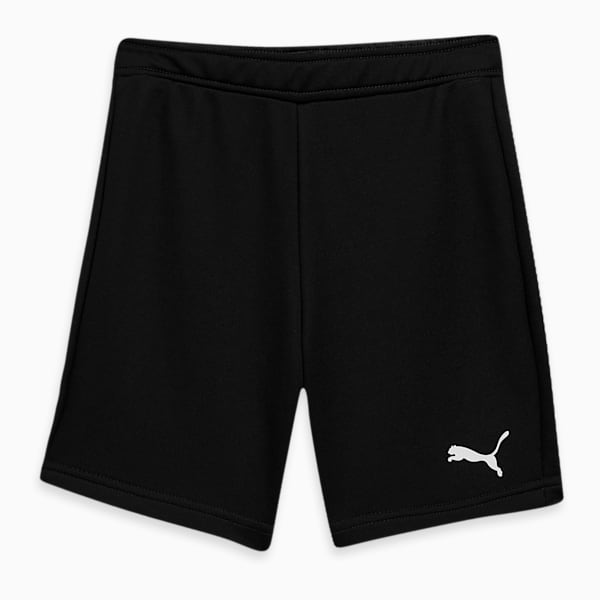 Cricket Youth Shorts, Puma Black, extralarge-IND