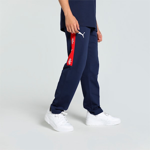 PUMA x DC Men's Cricket Tape Pants, PUMA Navy-For All Time Red-Strong Blue-PUMA White, extralarge-IND