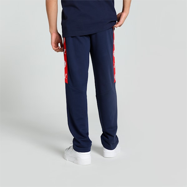 PUMA x DC Men's Cricket Tape Pants, PUMA Navy-For All Time Red-Strong Blue-PUMA White, extralarge-IND