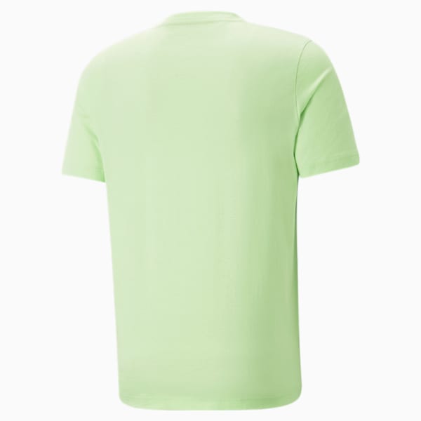 AMG Unisex Regular Fit T-Shirt, Spring Fern, extralarge-IND