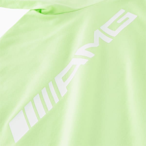 AMG Unisex Regular Fit T-Shirt, Spring Fern, extralarge-IND