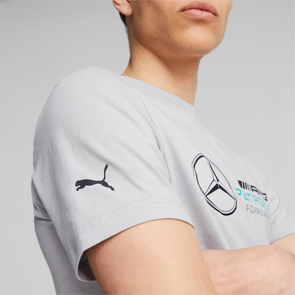 Mercedes-AMG PETRONAS Men's Motorsport Tee, Mercedes Team Silver, extralarge-IND