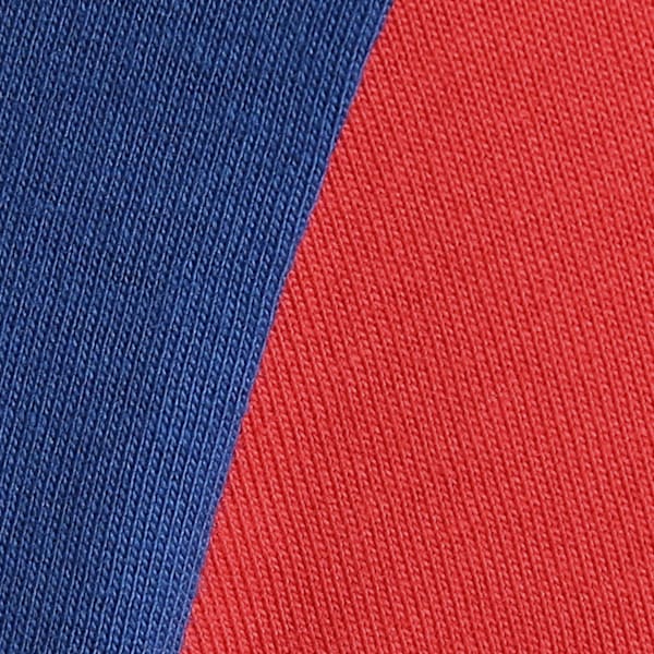 BMW M Motorsport Men's Polo, Pro Blue-M Color, extralarge-IND