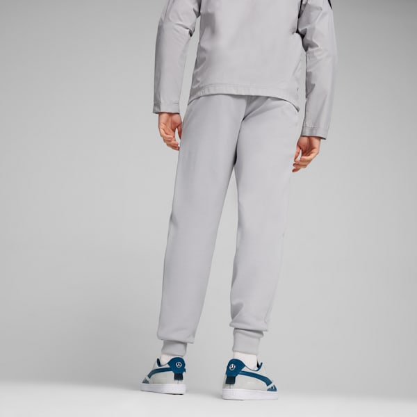 Mercedes-AMG Petronas Motorsport Men's Sweatpants, Team Silver, extralarge-IND