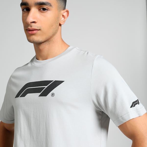 F1 Motorsport Men's Logo Graphic T-shirt, Ash Gray, extralarge-IND