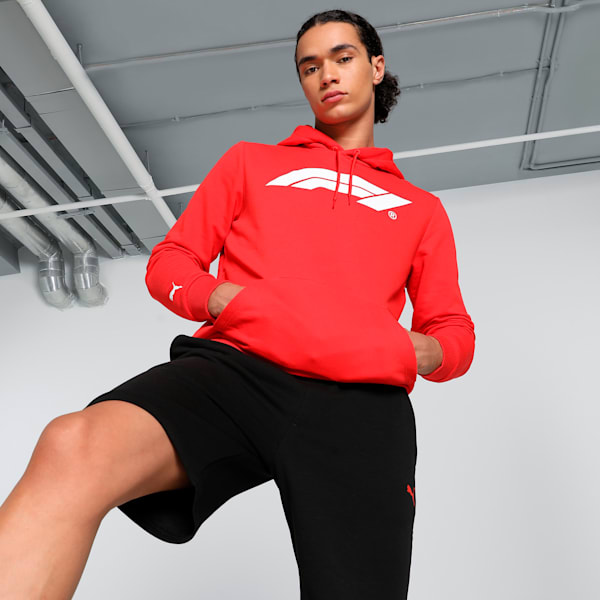 F1 Men's Motorsport Logo Hoodie, Pop Red, extralarge-IND