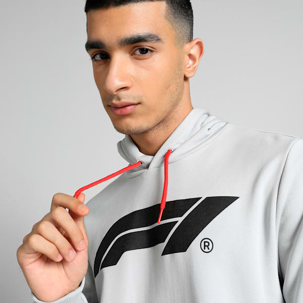 F1 Men's Motorsport Logo Hoodie, Ash Gray, extralarge-IND
