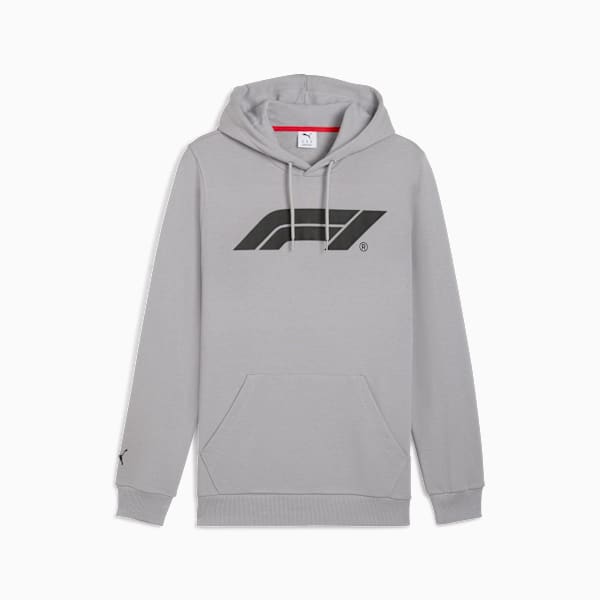 Formula 1® Motorsport Essentials Men's Hoodie, Gray Echo, extralarge