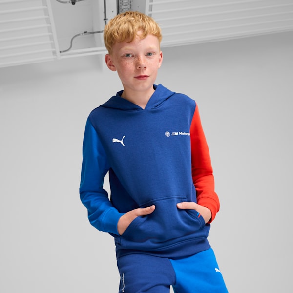 Sudadera  BMW M Motorsport, Pro Blue-M Color, extralarge