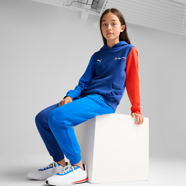 Sudadera  BMW M Motorsport, Pro Blue-M Color, extralarge