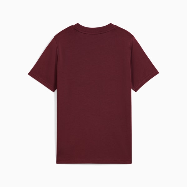 Wardrobe Essentials Boys' Cotton Tee, Ruby Shimmer, extralarge-IND