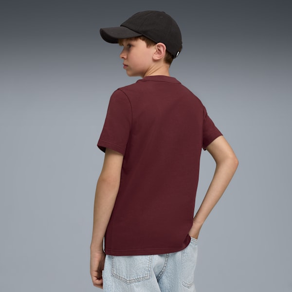 Wardrobe Essentials Boys' Cotton Tee, Ruby Shimmer, extralarge-IND
