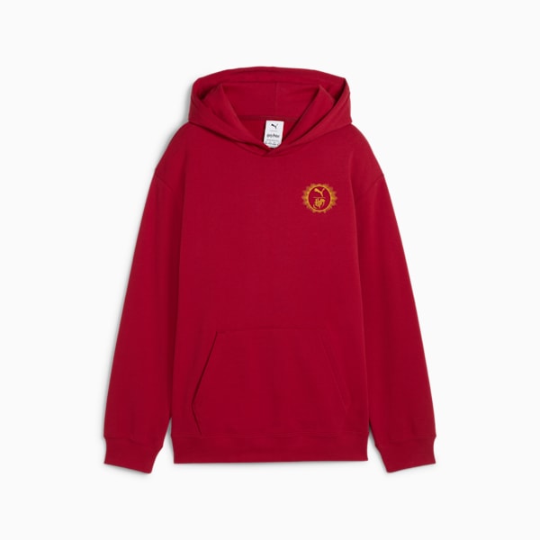 PUMA x HARRY POTTER Big Kids' Relaxed Graphic Hoodie, Dark Crimson, extralarge