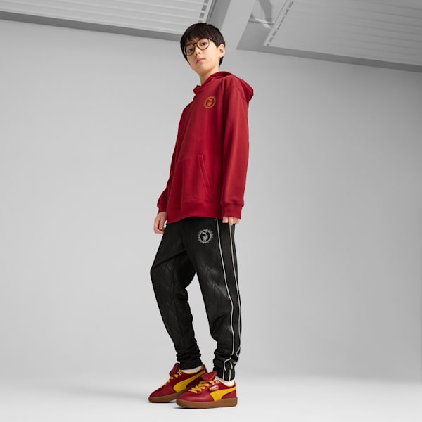 PUMA x HARRY POTTER Big Kids' Relaxed Graphic Hoodie, Dark Crimson, extralarge