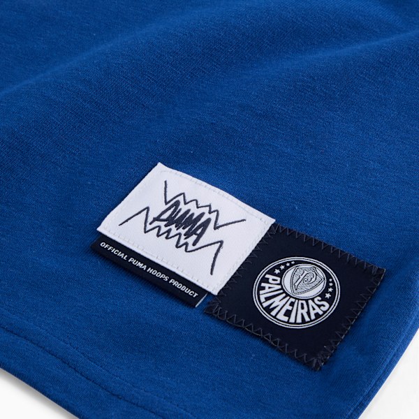 PUMA HOOPS x SE PALMEIRAS Basketball Tee Men, Clyde Royal, extralarge