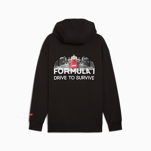 Formula 1® Drive to Survive Men's Hoodie, PUMA Black, extralarge
