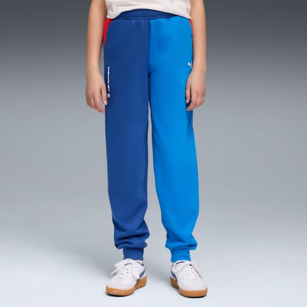 BMW MMS Kids' Regular Fit Cotton Knit Pants, Pro Blue-M Color, extralarge-IND