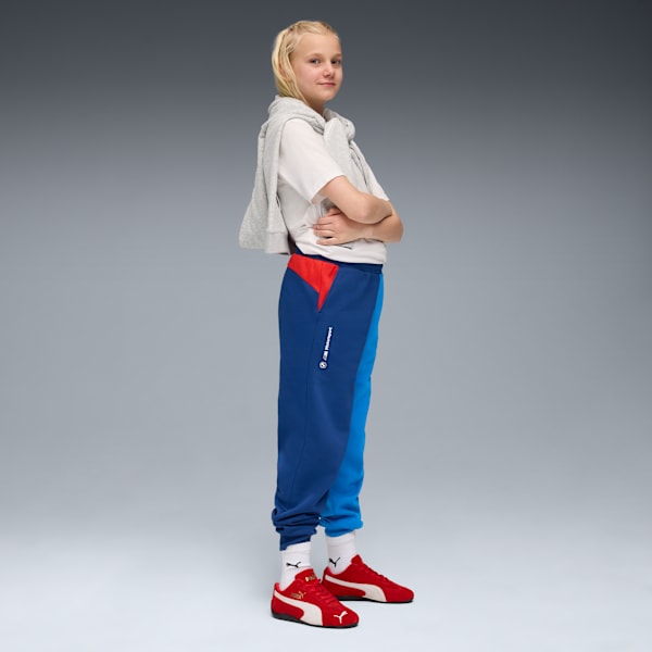 Pants BMW M Motorsport Essentials para adolescentes, Pro Blue-M Color, extralarge