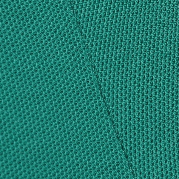 PUMA x RCB Men's Retro Polo, Wild Green, extralarge-IND