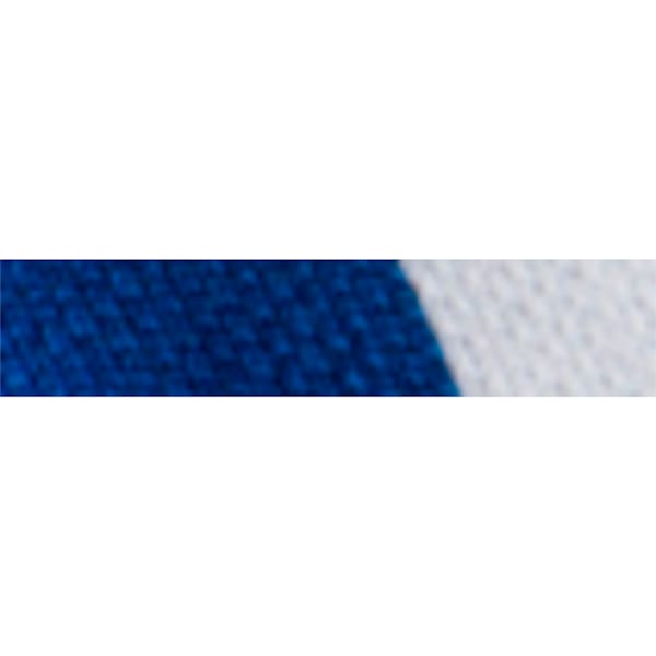 evoTRG Men's Football Socks, Puma White-TRUE BLUE, extralarge-IND