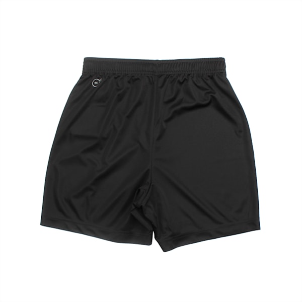 ftblPLAY dryCELL Kids' Shorts, Puma Black