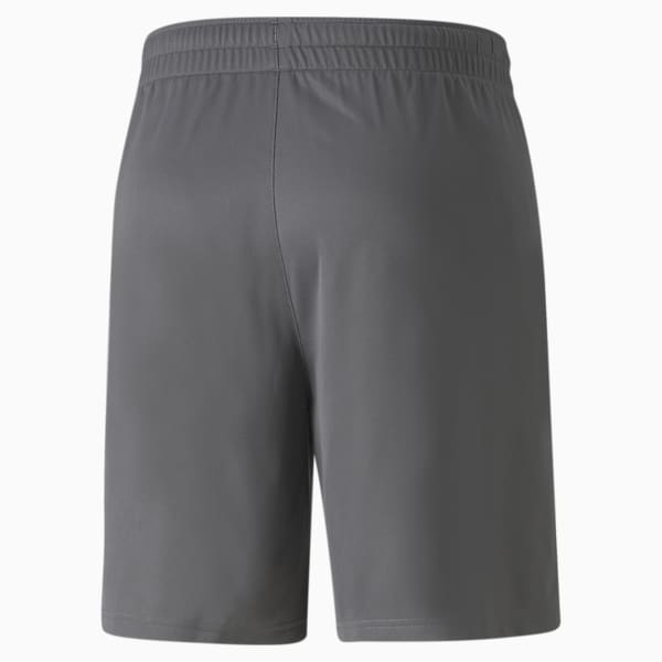 TeamFINAL Training Men's Shorts, Smoked Pearl-Puma Black, extralarge-IND