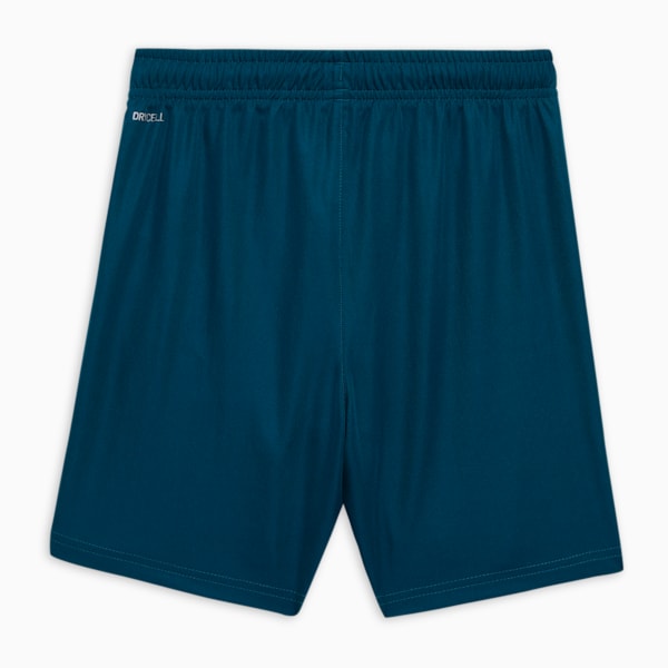 teamLIGA Training Youth Football Unisex Shorts PUMA