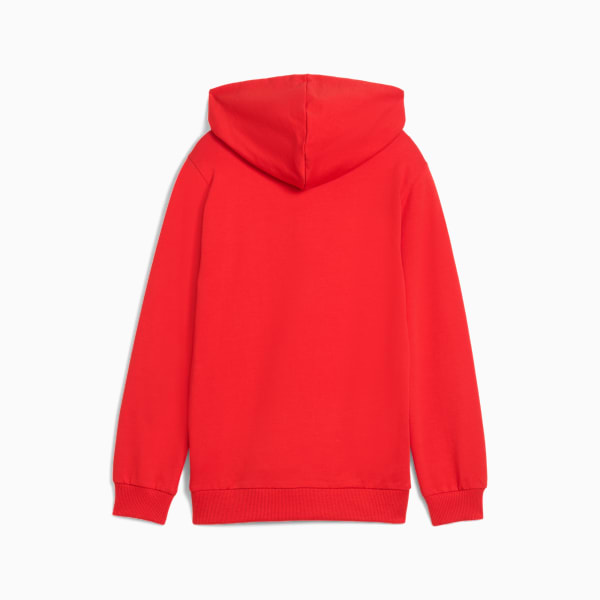 teamGOAL Football Casuals Hoody Youth, PUMA Red-PUMA White, extralarge