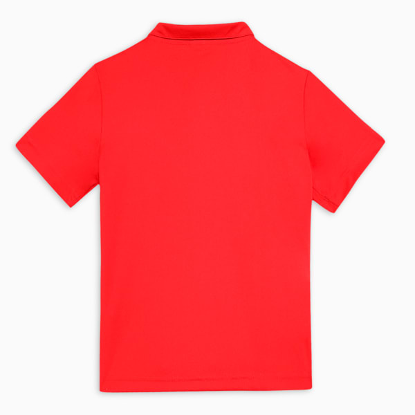 Cricket Teamwear Youth Plain Polo, For All Time Red, extralarge-IND