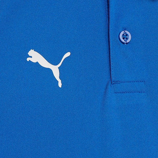Cricket Teamwear Youth Plain Polo, Ultra Blue, extralarge-IND