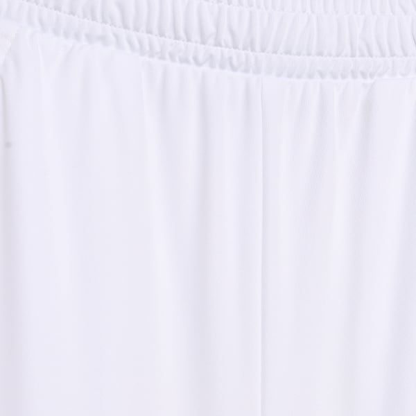 Cricket Teamwear Youth Shorts, PUMA White, extralarge-IND