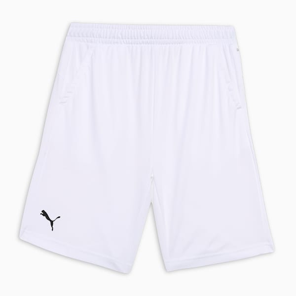 Cricket Teamwear Youth Shorts, PUMA White, extralarge-IND