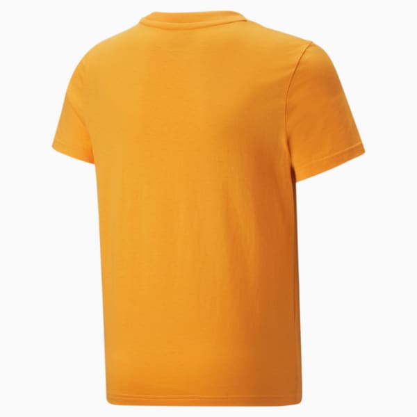 Alpha Graphic Youth Regular Fit T-Shirt, Tangerine, extralarge-IND
