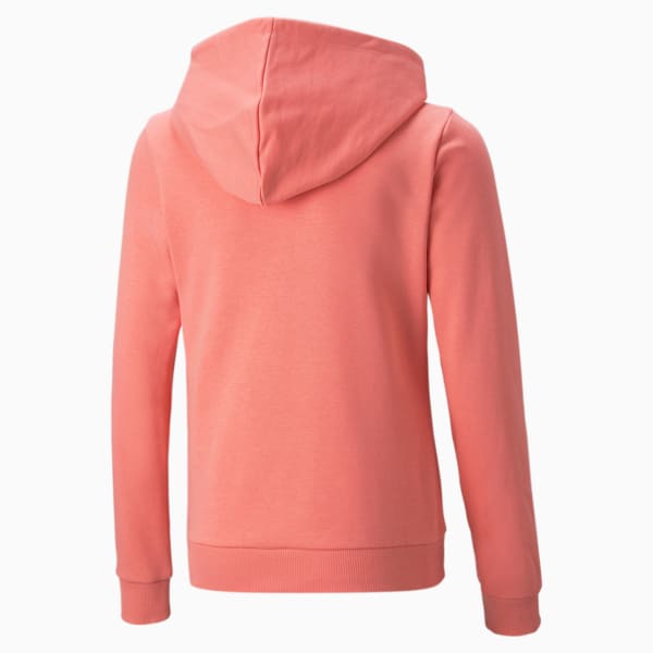 Bloom Logo Youth Regular Fit Hoodie, Carnation Pink, extralarge-IND