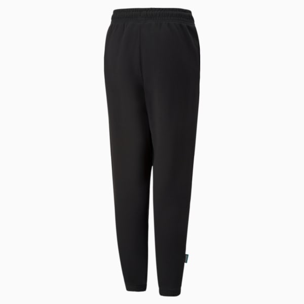 Fandom Sweatpants Youth, Puma Black, extralarge-IND