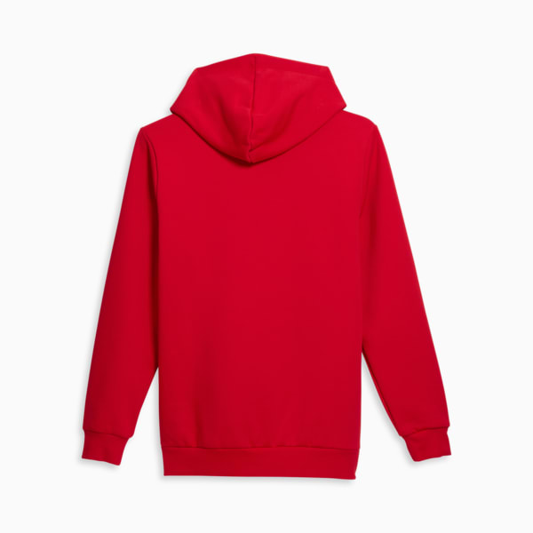 Sudadera con capucha para hombre Big Cat Logo, For All Time Red, extralarge