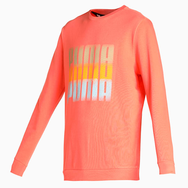 Summer Squeeze Men's Regular Fit Sweatshirt, Salmon, extralarge-IND