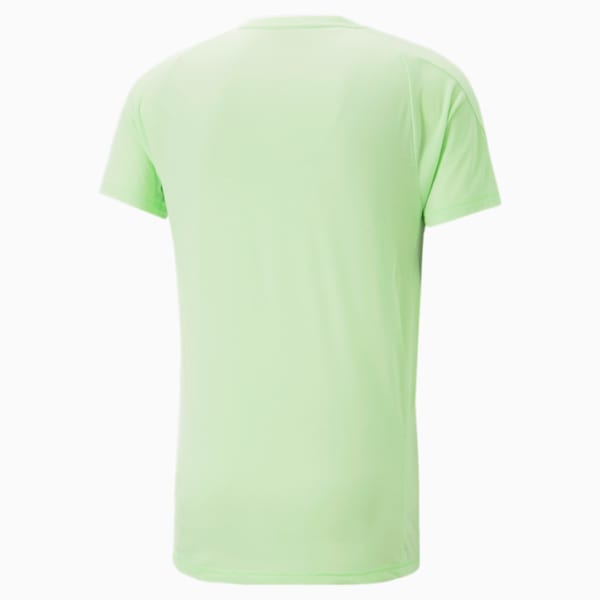 Evostripe Men's T-Shirt, Spring Fern, extralarge-IND