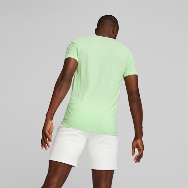 Evostripe Men's T-Shirt, Spring Fern, extralarge-IND