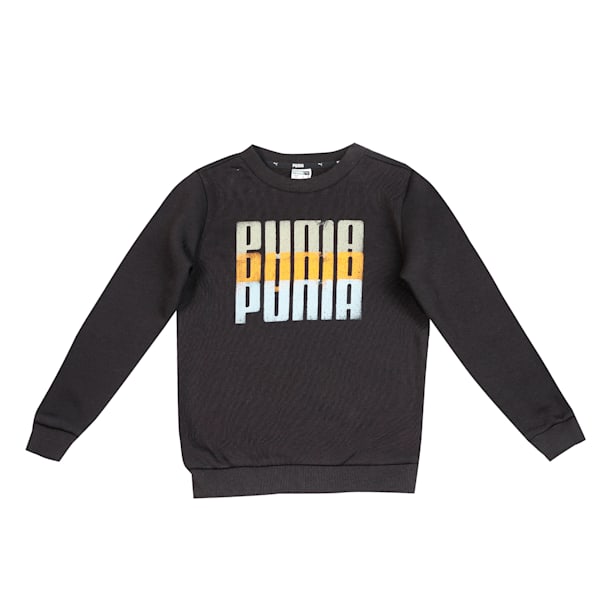 Summer Squeeze Youth Regular Fit Sweatshirt, Puma Black, extralarge-IND