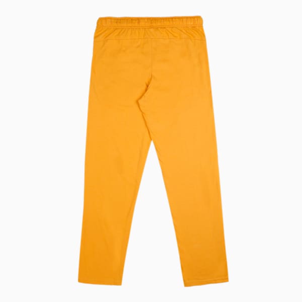 Boy's Regular Fit Joggers Pack of 2, Blue Coral-Mineral Yellow, extralarge-IND