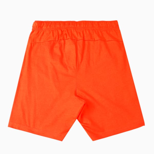 Boy's Regular Fit Shorts Pack of 2, Cherry Tomato-Victoria Blue, extralarge-IND