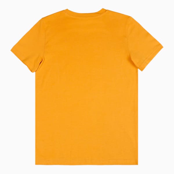 Boy's Regular Fit T-Shirts Pack of 2, Cherry Tomato-Mineral Yellow, extralarge-IND