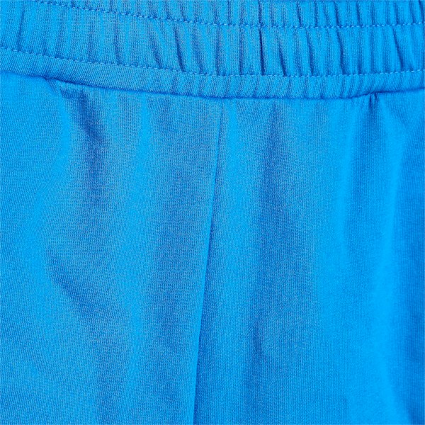 PUMAx1DER Graphic Men's Shorts, Victoria Blue, extralarge-IND