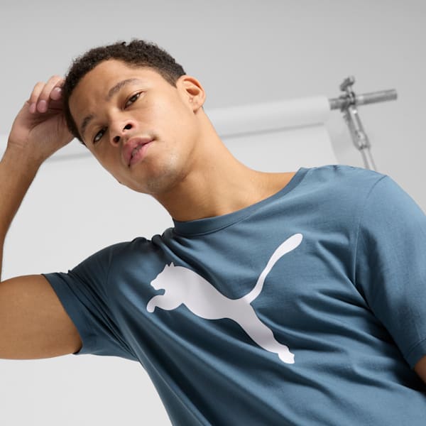 Essentials Big Cat Men's Tee, Gray Skies, extralarge